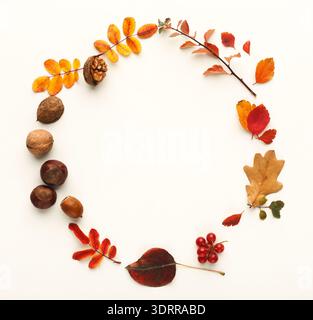 Collection de feuilles et de noix disposées dans un design circulaire Banque D'Images