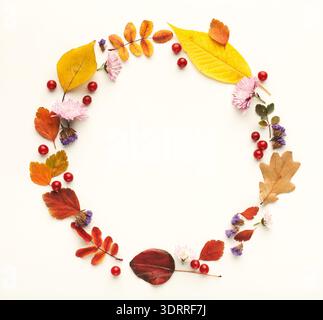 Collection de feuilles d'automne, fleurs et baies disposées dans un motif circulaire pour la décoration Banque D'Images