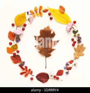 Collage de feuilles d'automne et de fleurs disposées dans un design circulaire pour l'affichage Banque D'Images