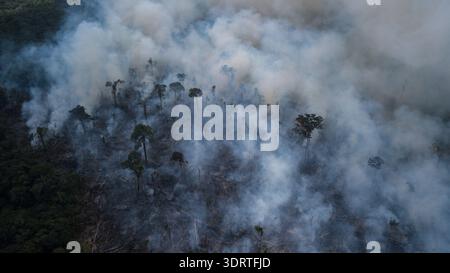 Vue aérienne de la fumée qui jaillit sur la forêt, un contraste frappant entre les arbres sombres et la brume blanche, Rorainópolis, Roraima, Brésil. Banque D'Images