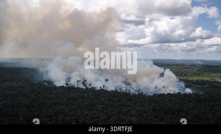 Vue aérienne de la fumée qui jaillit au-dessus de la canopée de la forêt, un contraste frappant avec le paysage verdoyant luxuriant, Rorainópolis, Roraima, Brésil. Banque D'Images