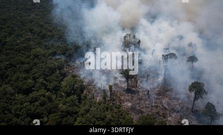 Vue aérienne de la fumée qui jaillit et s'élève d'un feu de forêt, contrastant le sol carbonisé avec les arbres verts intacts, Rorainópolis, Roraima, Br Banque D'Images