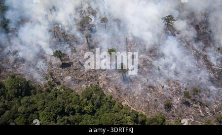 Vue aérienne de fumée qui jaillit sur un paysage déboisé, contrastant avec le vert foncé des bords de forêt intacts, Rorainópolis, Roraima, Brésil. Banque D'Images