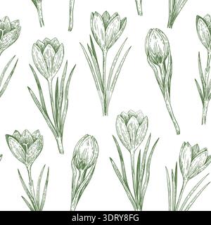 Modèle sans couture avec des fleurs de crocus dans un style réaliste esquissé. Illustration dessinée à la main. Illustration de Vecteur
