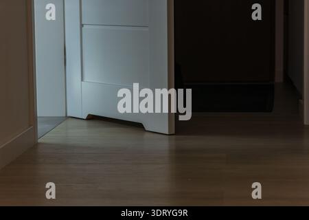 Une porte blanche moderne se tient entrouverte, une lumière fraîche se répand sur un parquet en bois pâle dans une maison polonaise, un tapis s'estompe dans l'ombre, l'éclairage du soir suggère quie Banque D'Images