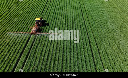 Vue aérienne rapprochée d'un tracteur pulvérisant des pesticides sur des rangées de cultures d'arachides vertes - vue drone Banque D'Images