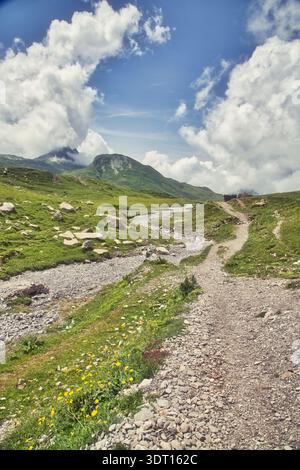 Paysage de montagne pittoresque présentant une végétation luxuriante et un ciel nuageux à Derborence, Suisse. Banque D'Images