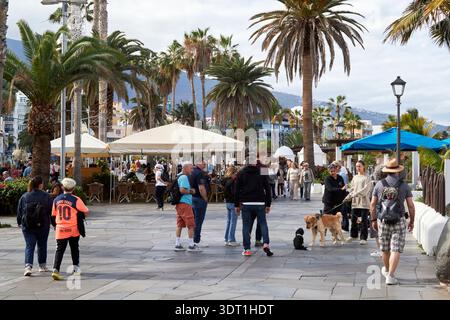 avenida de cristobal colon chrisopher columbus avenue promenade en bord de mer puerto de la cruz tenerife îles canaries espagne Banque D'Images
