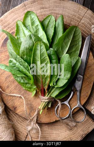 Feuilles d'oseille fraîches sur planche à découper ronde en bois avec des ciseaux et de la ficelle disposés par le haut. Vue de dessus composition des aliments, verts sains, espace de travail de cuisine rustique Banque D'Images