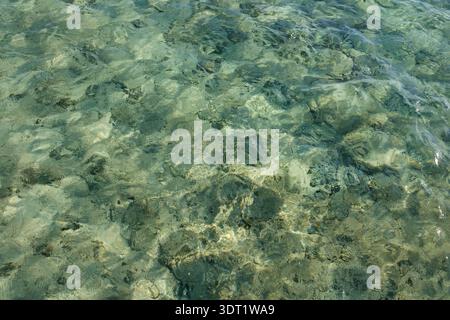 Eau turquoise claire avec formations coralliennes visibles et fond sablonneux dans un environnement marin tropical Banque D'Images