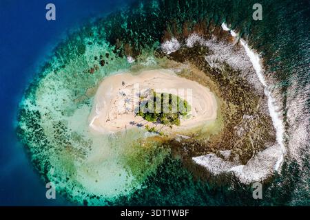Vue aérienne d'une île tropicale isolée de Polynésie française, entourée de récifs coralliens vibrants et d'eaux bleues cristallines. Les palmiers jettent de l'ombre Banque D'Images