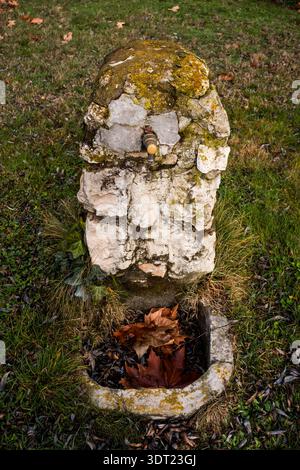 Une fontaine en pierre altérée dans un jardin herbeux, ornée de feuilles d'automne et de mousse. L'aspect rustique de la fontaine se marie parfaitement avec le n Banque D'Images