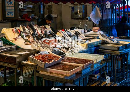 Stand de poissons à la Pescheria à Catane, Sicile, Italie avec assortiment de fruits de mer sur glace. Banque D'Images