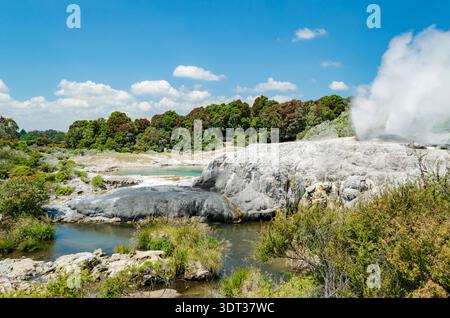 Geothermal Valley te Puia à Rotorua, Nouvelle-Zélande, avec de la vapeur qui monte des bouches géothermiques, des piscines minérales vibrantes avec de l'eau turquoise,... Banque D'Images
