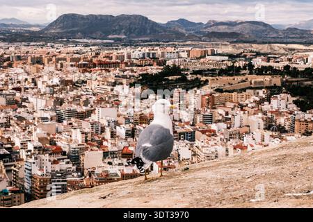 Vue d'Alicante, Espagne - janvier 2026. Banque D'Images