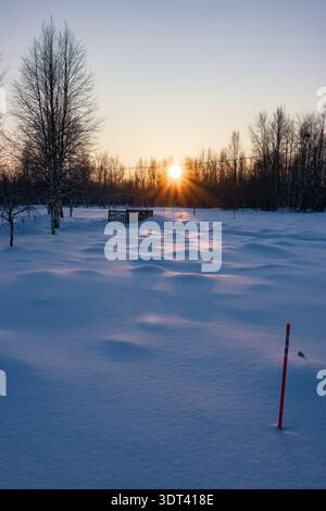 Coucher de soleil sur le lac Inari gelé avec des arbres couverts de neige en Laponie, Finlande près d'Ivalo Banque D'Images