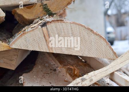 Gros plan horizontal d'une planche de bois brut, montrant le motif détaillé du grain, les anneaux de croissance et le bord rugueux de l'écorce. Petites aiguilles de pin et tra Banque D'Images