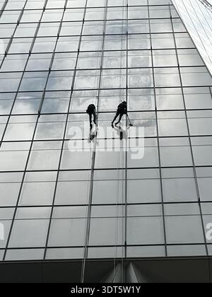 Deux ouvriers sur une vaste façade vitrée transforment l’architecture moderne en une grille saisissante d’échelle et de symétrie Banque D'Images