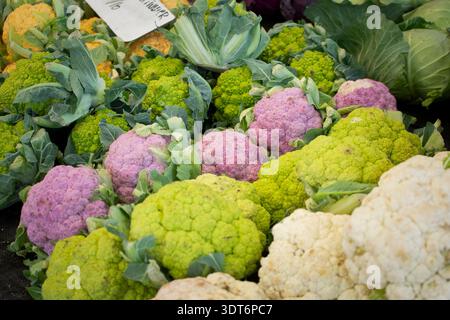 Une vue d'une variété de choux-fleurs, exposés sur un marché fermier local. Banque D'Images