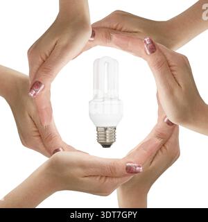 Mains avec ampoule isolée sur fond blanc Banque D'Images