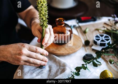 Les mains attachent une grande tige de fleur verte au kenzan en métal sur la table de travail. Ikebana, grenouille fleur kenzan, art floral japonais, arrangement minimaliste, floral Banque D'Images