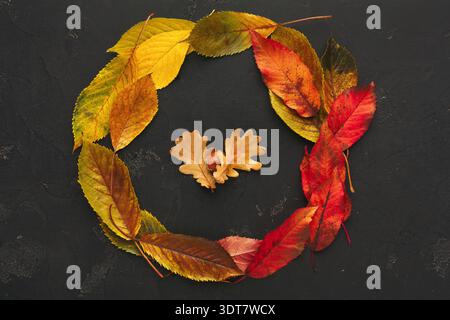 Collage de feuilles d'automne disposées en cercle avec des Acorns décoratifs Banque D'Images