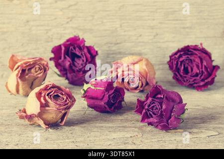 Des boutons de fleurs de rose séchées sur fond de bois Banque D'Images
