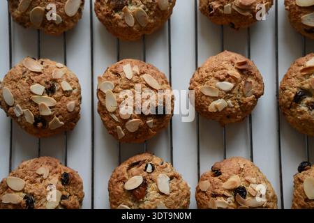 Biscuits à l'avoine fraîchement cuits avec raisins secs et flocons d'amande sur une grille de refroidissement. Banque D'Images