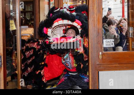 Londres, Angleterre, Royaume-Uni. 21 février 2026. Les artistes prennent part à une danse traditionnelle du lion dans Chinatown de Londres pendant les célébrations du nouvel an lunaire, où le lion mange de la laitue symbolique et des enveloppes rouges dans le rituel connu sous le nom de cai qing, représentant la collecte et la propagation de la chance, de la prospérité et des bénédictions pour l'année à venir. La performance séculaire est censée éloigner les mauvais esprits et apporter la bonne fortune aux entreprises, aux spectateurs et à la communauté au sens large. (Crédit image : © Thomas Krych/ZUMA Press Wire) USAGE ÉDITORIAL SEULEMENT ! Non destiné à UN USAGE commercial ! Banque D'Images