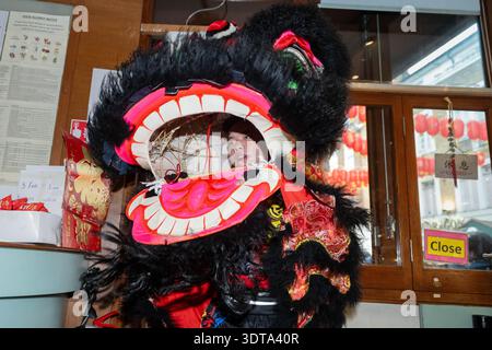 Londres, Angleterre, Royaume-Uni. 21 février 2026. Les artistes prennent part à une danse traditionnelle du lion dans Chinatown de Londres pendant les célébrations du nouvel an lunaire, où le lion mange de la laitue symbolique et des enveloppes rouges dans le rituel connu sous le nom de cai qing, représentant la collecte et la propagation de la chance, de la prospérité et des bénédictions pour l'année à venir. La performance séculaire est censée éloigner les mauvais esprits et apporter la bonne fortune aux entreprises, aux spectateurs et à la communauté au sens large. (Crédit image : © Thomas Krych/ZUMA Press Wire) USAGE ÉDITORIAL SEULEMENT ! Non destiné à UN USAGE commercial ! Banque D'Images