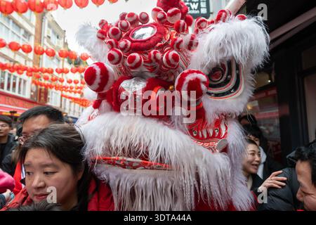 Londres, Angleterre, Royaume-Uni. 21 février 2026. Les artistes prennent part à une danse traditionnelle du lion dans Chinatown de Londres pendant les célébrations du nouvel an lunaire, où le lion mange de la laitue symbolique et des enveloppes rouges dans le rituel connu sous le nom de cai qing, représentant la collecte et la propagation de la chance, de la prospérité et des bénédictions pour l'année à venir. La performance séculaire est censée éloigner les mauvais esprits et apporter la bonne fortune aux entreprises, aux spectateurs et à la communauté au sens large. (Crédit image : © Thomas Krych/ZUMA Press Wire) USAGE ÉDITORIAL SEULEMENT ! Non destiné à UN USAGE commercial ! Banque D'Images