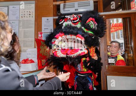 Londres, Angleterre, Royaume-Uni. 21 février 2026. Les artistes prennent part à une danse traditionnelle du lion dans Chinatown de Londres pendant les célébrations du nouvel an lunaire, où le lion mange de la laitue symbolique et des enveloppes rouges dans le rituel connu sous le nom de cai qing, représentant la collecte et la propagation de la chance, de la prospérité et des bénédictions pour l'année à venir. La performance séculaire est censée éloigner les mauvais esprits et apporter la bonne fortune aux entreprises, aux spectateurs et à la communauté au sens large. (Crédit image : © Thomas Krych/ZUMA Press Wire) USAGE ÉDITORIAL SEULEMENT ! Non destiné à UN USAGE commercial ! Banque D'Images