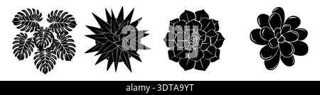 Silhouettes ensemble de monstera et plantes succulentes Illustration de Vecteur