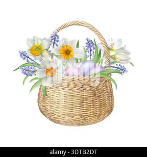 Illustration de Pâques. Aquarelle d'un panier en osier avec fleurs de narcisse, muscari violet, feuilles vertes et œufs pastel. Parfait pour les cartes de Pâques Banque D'Images