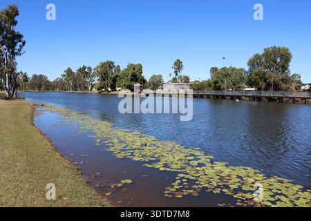 Hoops Lagoon avec de l'eau, des nénuphars, des arbres et une passerelle sous un ciel bleu à Clermont, Queensland, Australie Banque D'Images