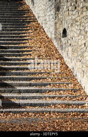 Escalier couvert de feuilles mortes colorées Banque D'Images