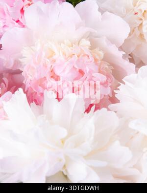 Fond floral doux pastel éthérée vertical pour modèle de marque de mariage de luxe Banque D'Images