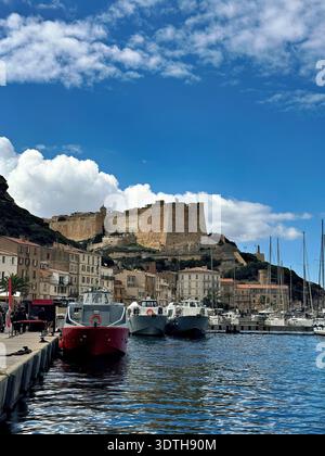 Port et centre ville de Bonifacio sur la pointe sud de la côte méditerranéenne Corse, photographiés depuis l'eau en été. Banque D'Images