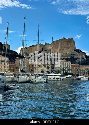 Port et centre ville de Bonifacio sur la pointe sud de la côte méditerranéenne Corse, photographiés depuis l'eau en été. Banque D'Images