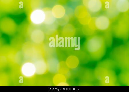 Vert éclatant et jaune abstrait nature Bokeh fond avec des lumières bokeh floues dans des tons verts et jaunes éclatants Banque D'Images