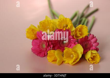 Bouquet de jonquilles et gerberas sur fond rose Banque D'Images