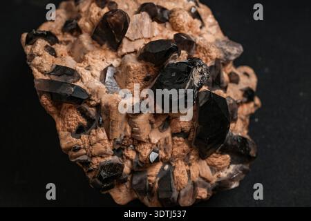 Cristaux de quartz fumé foncés intégrés dans une matrice tan, spécimen minéral en gros plan sur fond noir Banque D'Images