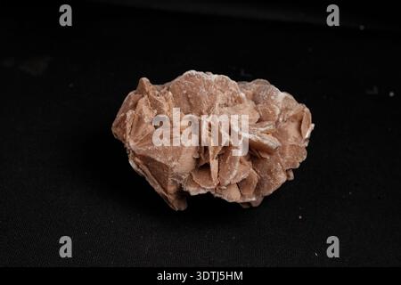 Grappe de gypse rose du désert sur fond de tissu noir, pétales beiges chauds et saupoudrage blanc subtil, photo macro de produit en gros plan Banque D'Images