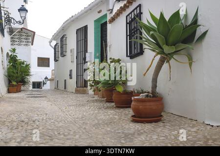 Allée avec pots de fleurs le long des maisons blanches dans la vieille ville d'Altea, Costa Blanca, Espagne Banque D'Images
