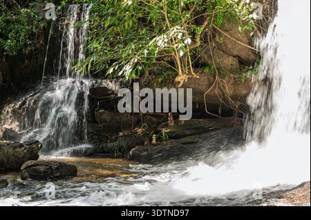 Concept de paradis tropical ruisseau d'eau rafraîchissant dans la forêt profonde avec des arbres verts et la lumière du soleil dans la province de siem Reap Banque D'Images