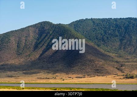 Cratère du Ngorongoro, zone de conservation de Ngorongoro, Tanzanie. Banque D'Images