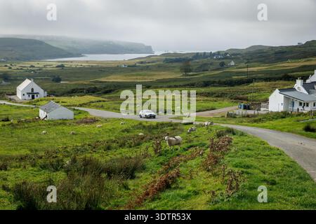 Une voiture blanche moderne parcourt une route de campagne sinueuse devant des cottages blancs traditionnels et des moutons en pâturage. Le voyage pittoresque révèle une belle coas Banque D'Images