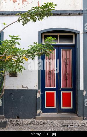 Porte en bois richement peinte à la main sur un bâtiment historique dans la vieille ville de Funchal, Madère, Portugal, montrant des couleurs vives, des détails décoratifs et Banque D'Images