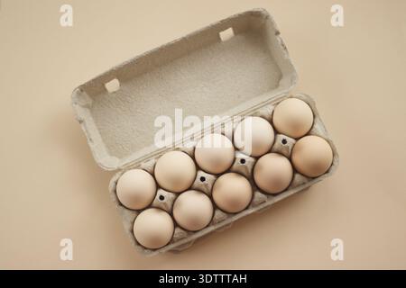 Dix œufs de poule bruns dans la boîte de carton sur fond clair Banque D'Images