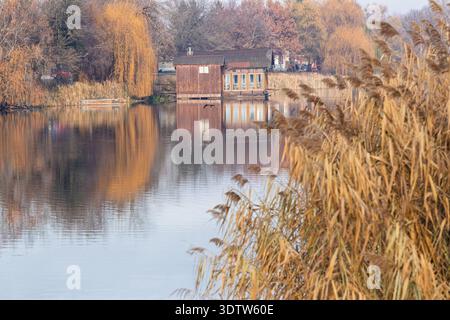 Une scène tranquille au bord du lac d'automne avec un hangar à bateaux rustique reflété dans l'eau calme, des roseaux dorés au premier plan et des saules le long du shor Banque D'Images